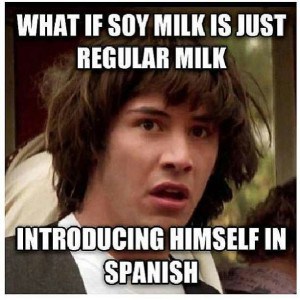soy milk