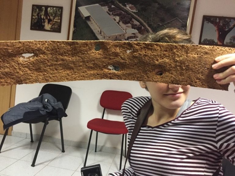 Cork Factory Tour in Portugal Let's Just Travel