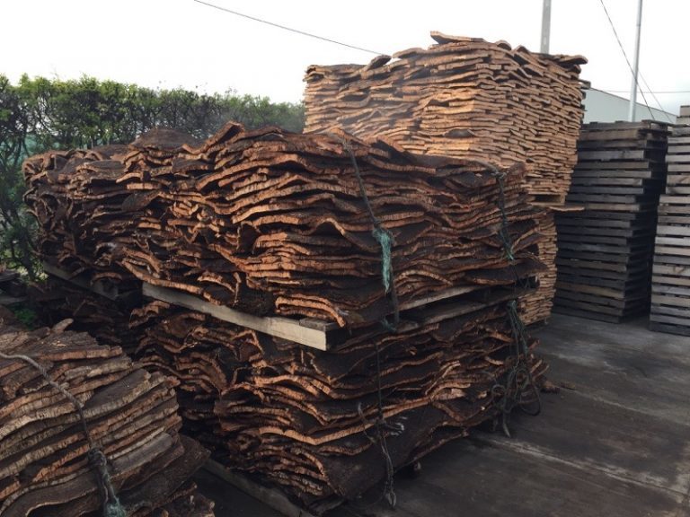 Cork Factory Tour in Portugal Let's Just Travel