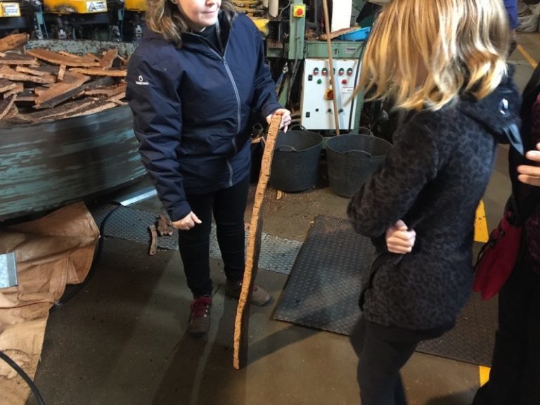 Cork Factory Tour in Portugal Let's Just Travel