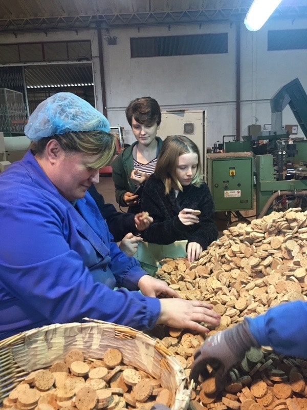 Cork Factory Tour in Portugal – Let's Just Travel